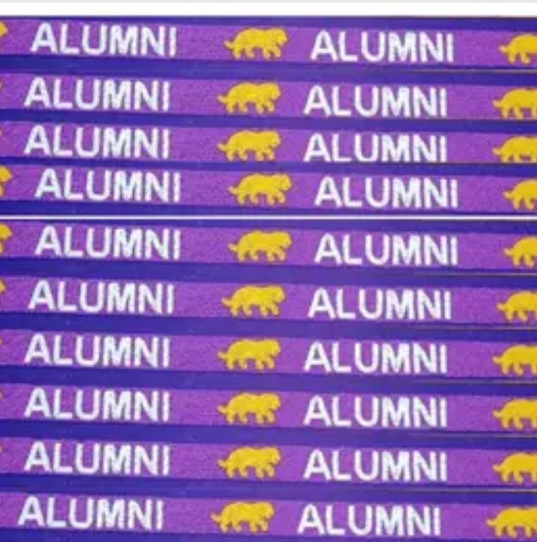 LSU Alumni Beaded Purse Strap