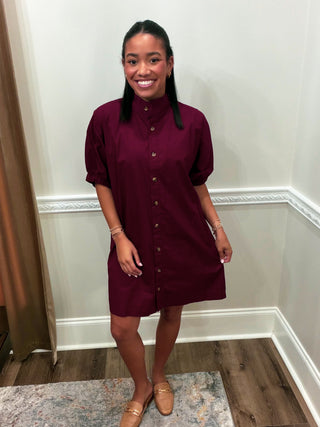 Palmer Puff Sleeve Shirt Dress