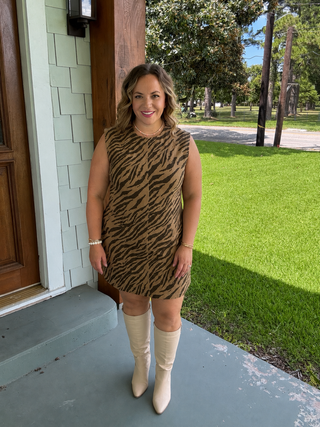 Roxie Tiger Stripe Mini Dress