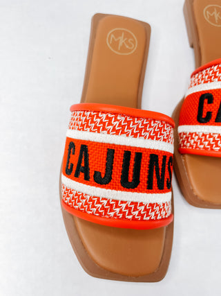 UL Cajuns Slides