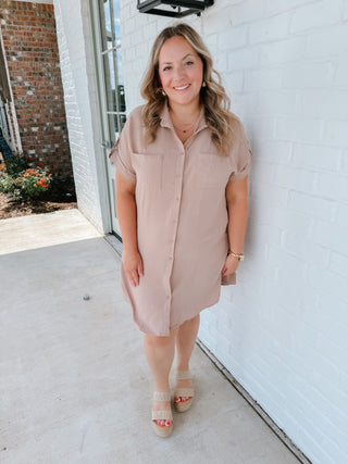 Button Swing Dress