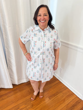 Garden Stripe Shirt Dress
