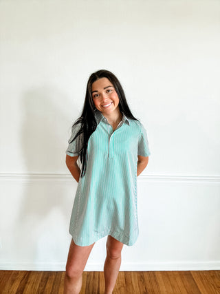 Seabrook Stripe Shift Dress